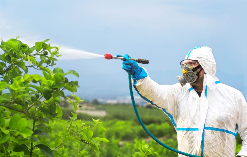 Pest Fumigation Service in Ann Arbor, MI