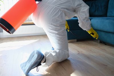Termite Tenting And Fumigation