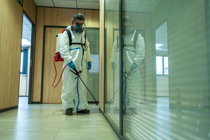Pest Fumigation Service in Fort Collins, CO
