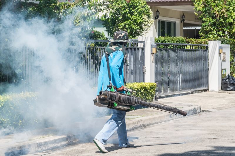 Rat Fumigation Service in Fort Collins, CO