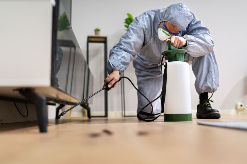 Roach Fumigation in Fort Myers, FL
