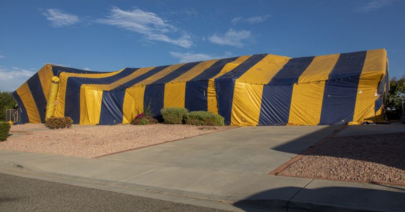 Termite Tenting And Fumigation
