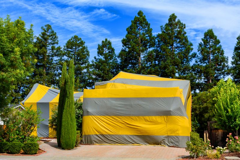 Termite Tenting And Fumigation