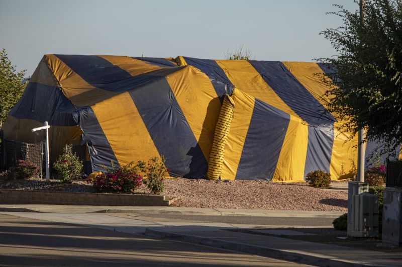 Fumigation Tent Application