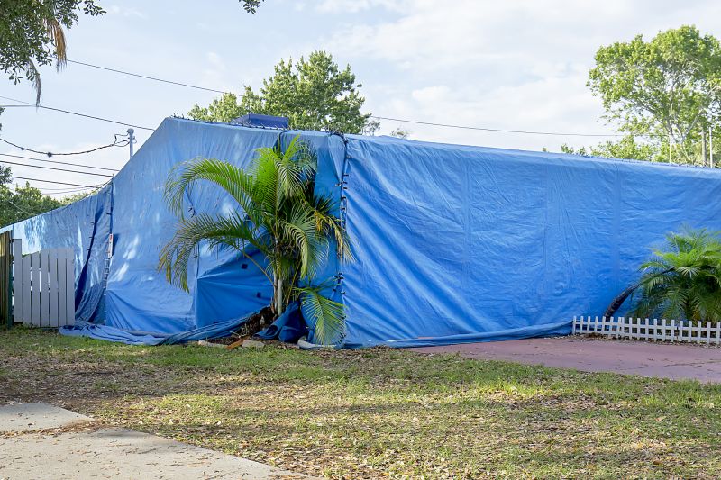 Termite Tenting in Fredericksburg, VA